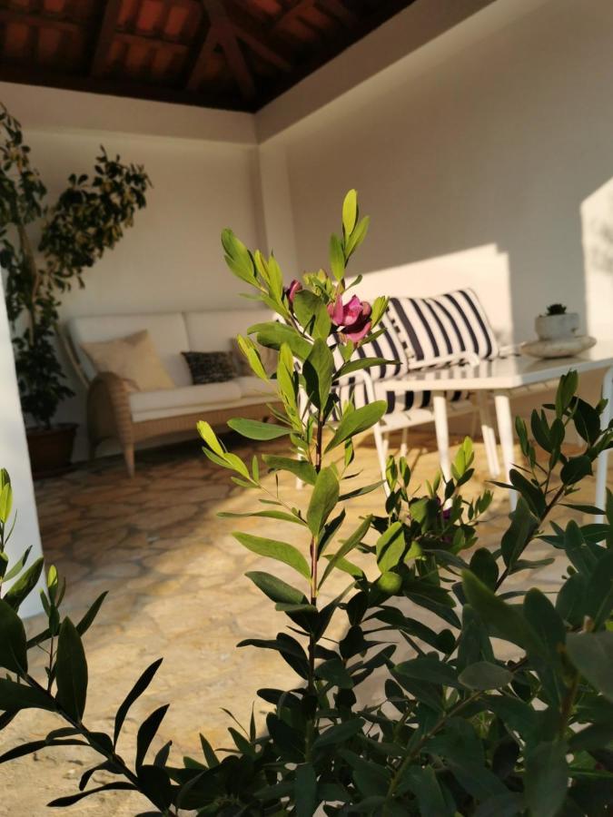 Sunset Apartment Орашац Экстерьер фото